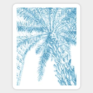 palm tree Sticker